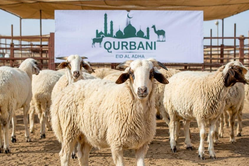 Preparações para o Qurbani em Dubai